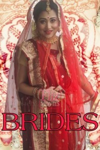 Brides (2020) Fliz Hindi Webseries