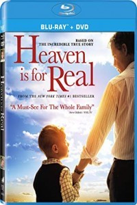 Heaven Is for Real (2014) Hindi Dubbed