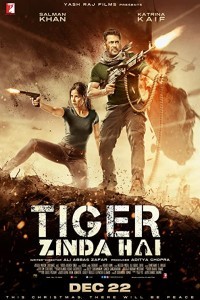 Tiger Zinda Hai (2017) Hindi Movie